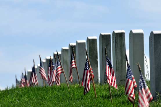 Flag arranged in a row