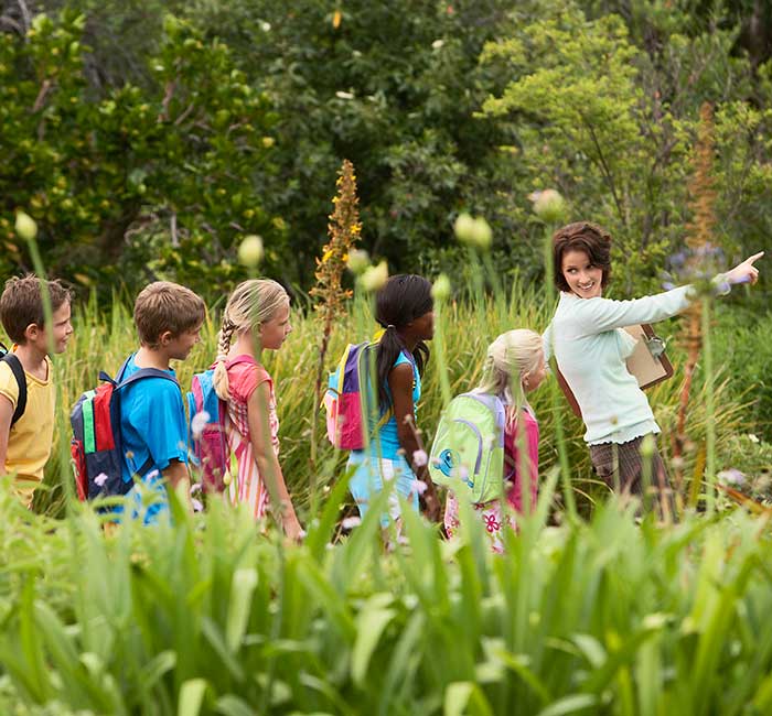 Young teacher with children on nature field trip